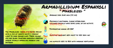 Armadillidium Espanyoli Marbleized Isopod Bin Label